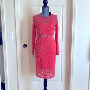 Stunning Material Girl salmon stretch lace, brand new, midi, Size L Dress